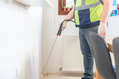 Ants Extermination Service in Katy, TX