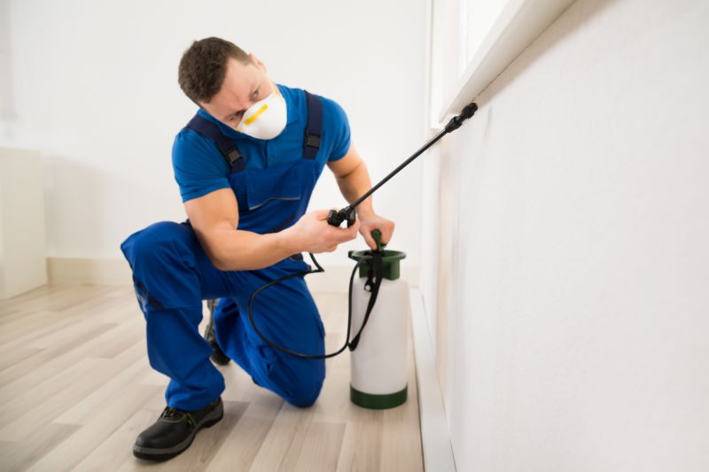 Bug Removal Service in Katy, TX