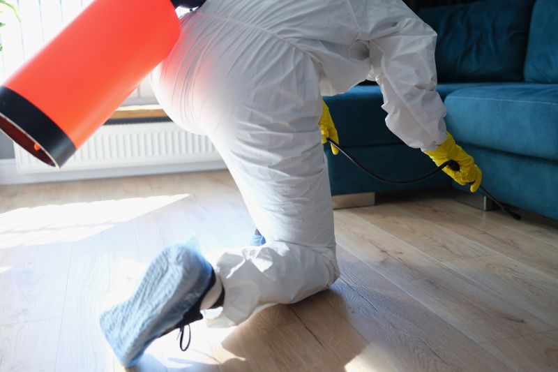 Bug Removal Service in Arlington, TX