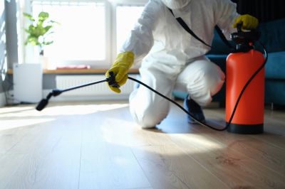 Common Spiders Extermination in Mckinney, TX