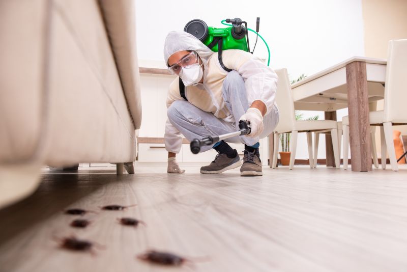 Extermination Service in Frisco, TX