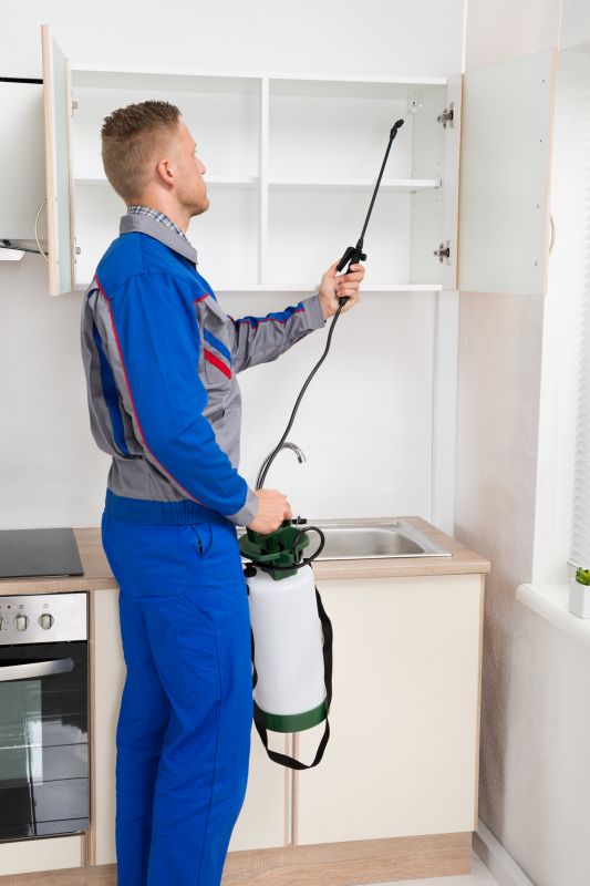 Insect Control Service in Katy, TX