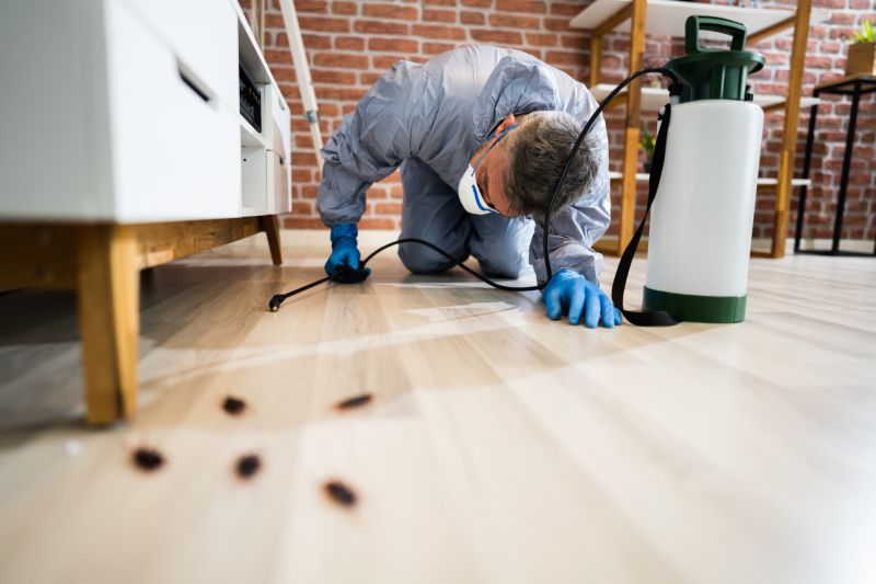 Insect Control Service in Arlington, TX