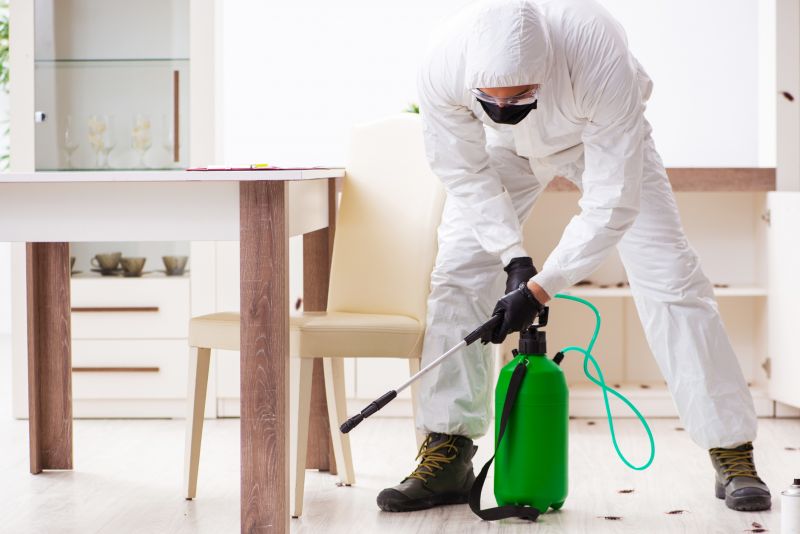 Pest Management Service in Frisco, TX