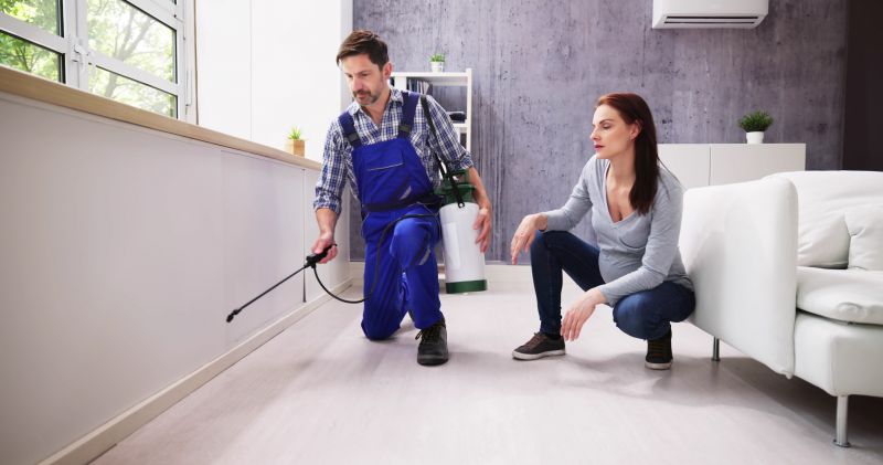 Pest Treatment Service in Frisco, TX