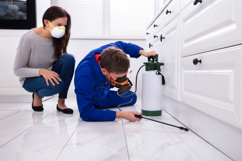 Silverfish Extermination in Arlington, TX