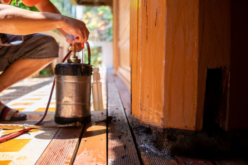 Termites Extermination in Katy, TX