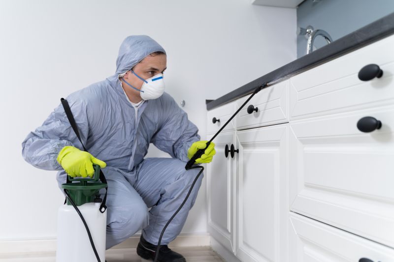 Bug Extermination Service in Frisco, TX